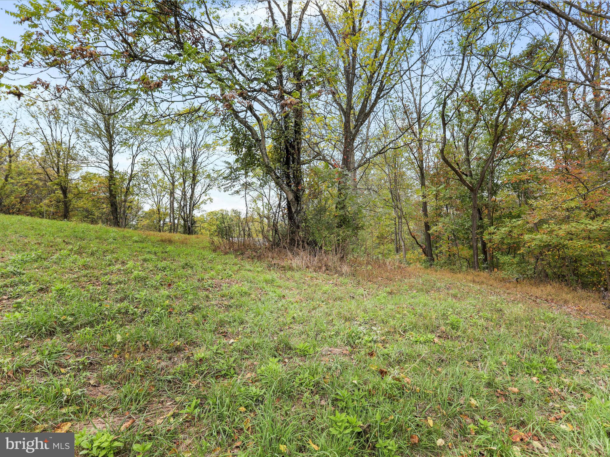 TWIN MOUNTAIN VIEW - Land