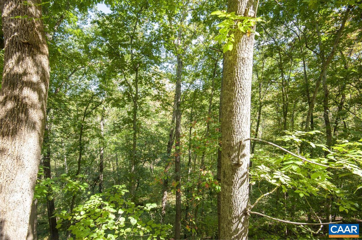 LAKE MONTICELLO - Residential