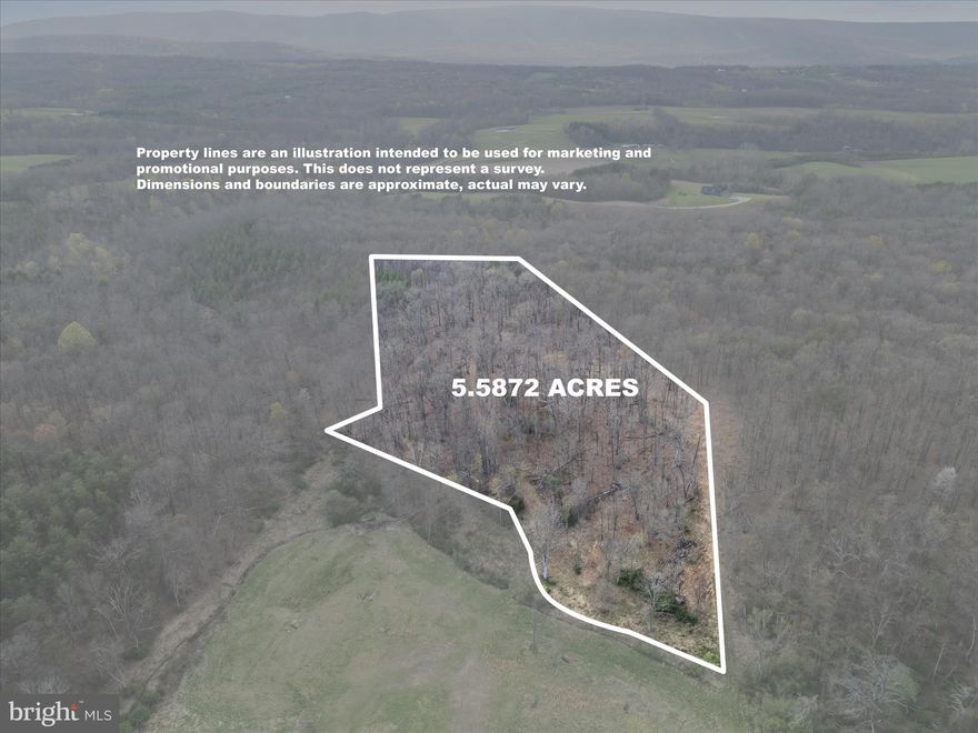 Looking for the perfect spot to build your home in the country? This 5.5872-acre lot in Cross Junction, Virginia, offers a serene setting with a private wooded lot. Located just 13 miles from Winchester, VA, you'll enjoy rural living with convenient access to city amenities. Whether you're ready to build now or want a place to get away, this property is ready when you are. Take a look and imagine the possibilities!
