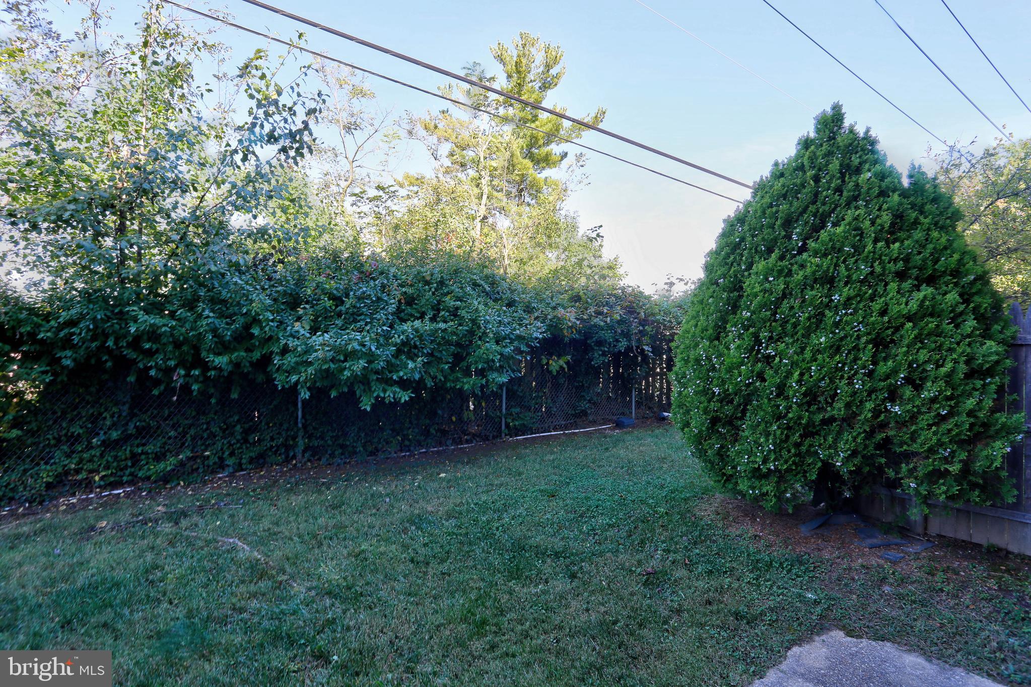 FOREST SPRING - Residential