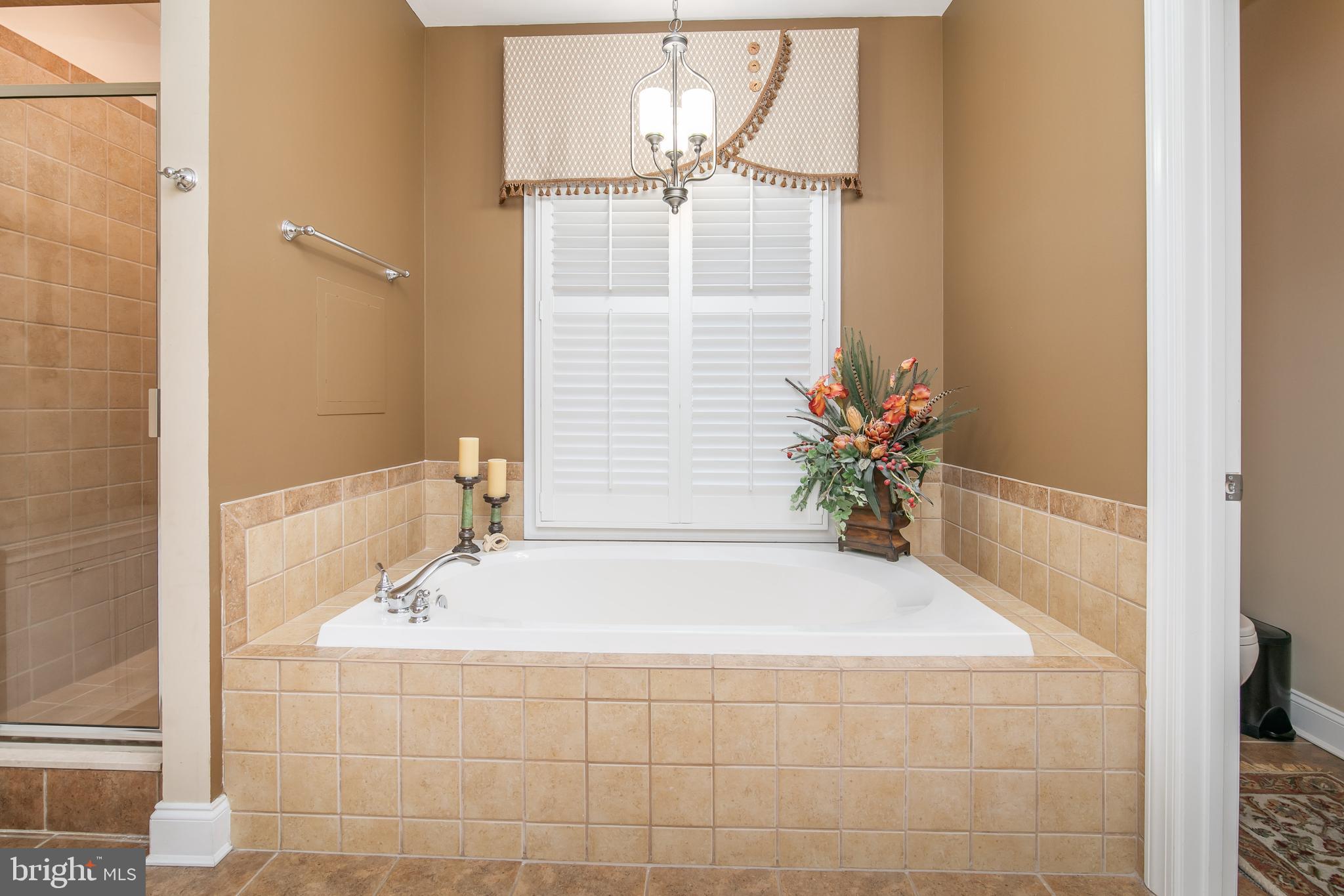 OLDE TOWN - Residential