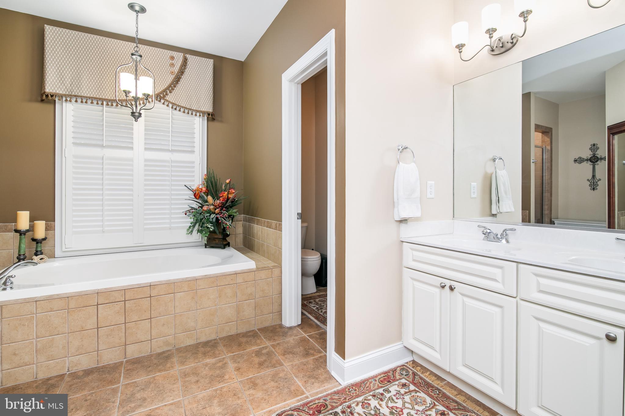 OLDE TOWN - Residential