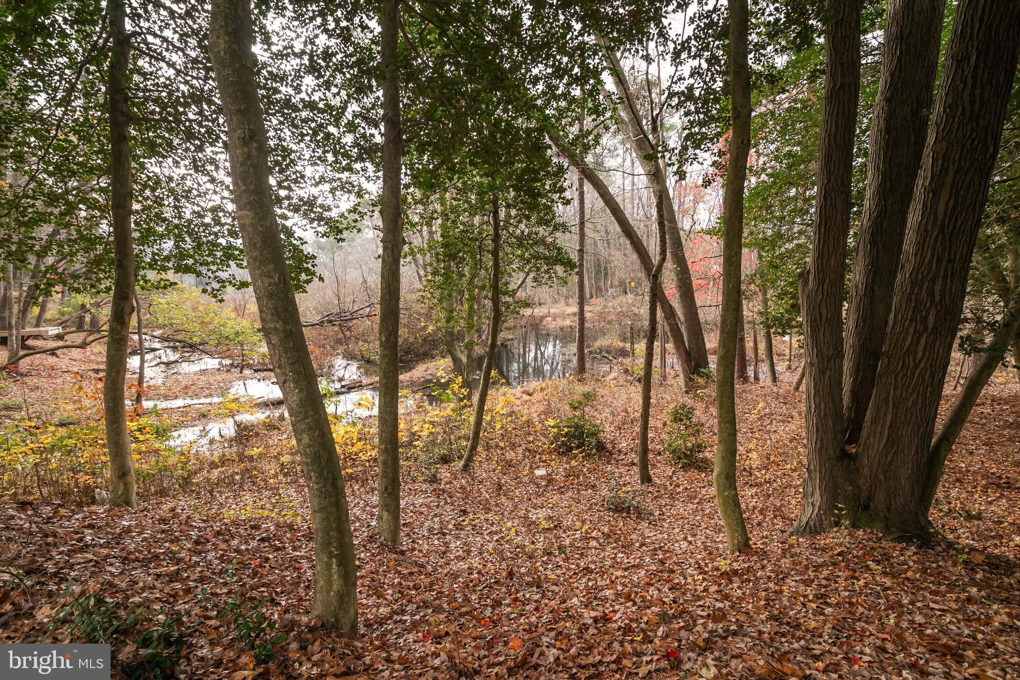 OLDE TOWN - Residential