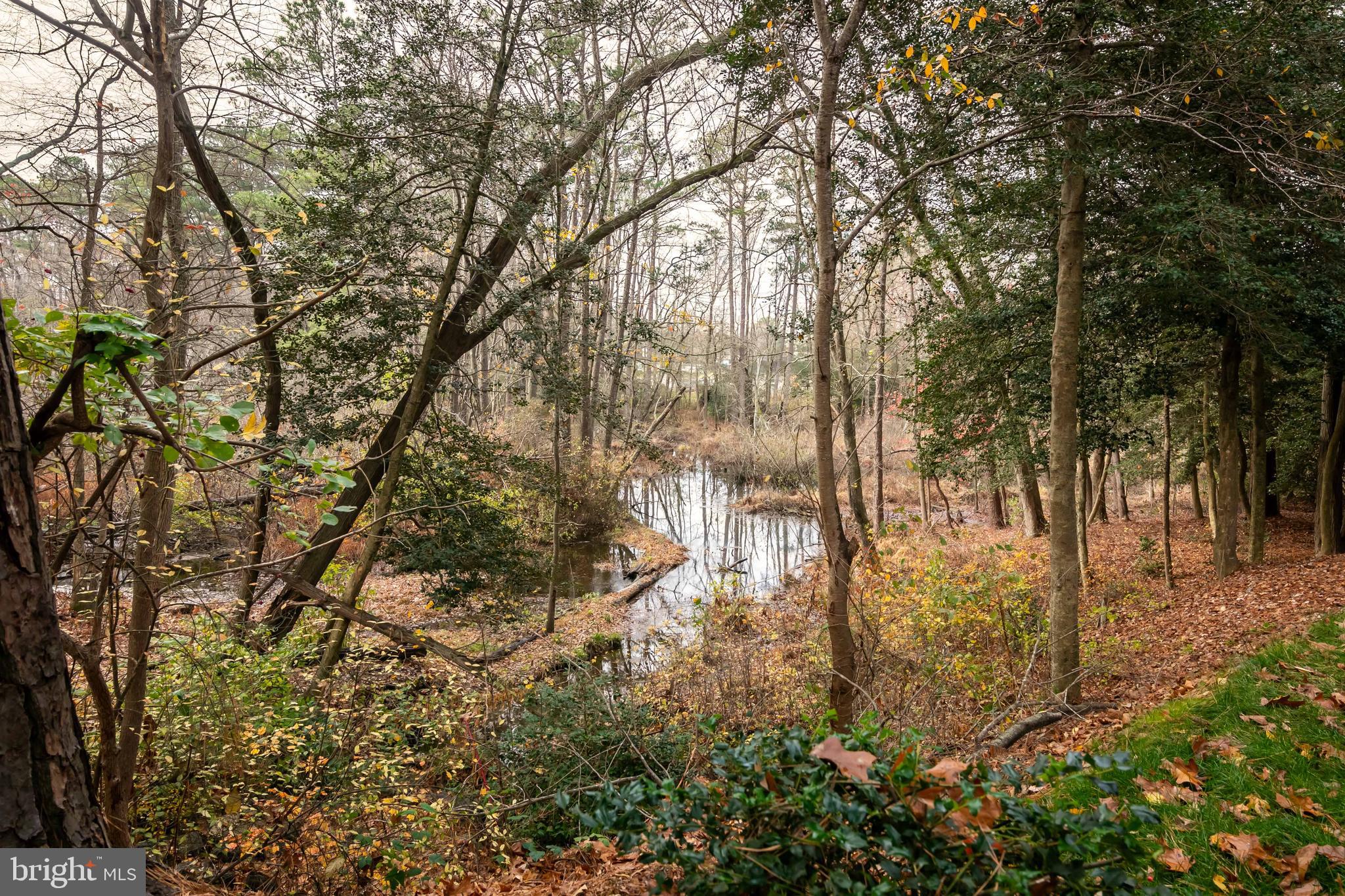 OLDE TOWN - Residential