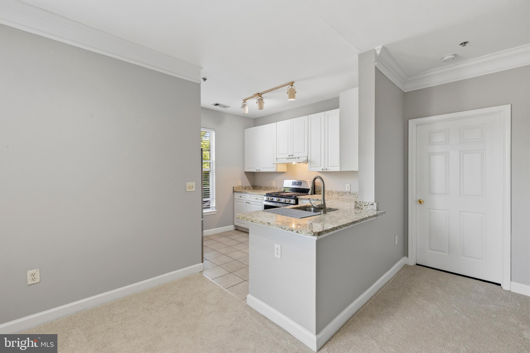 FITZ AT ROCKVILLE TOWN C - Residential