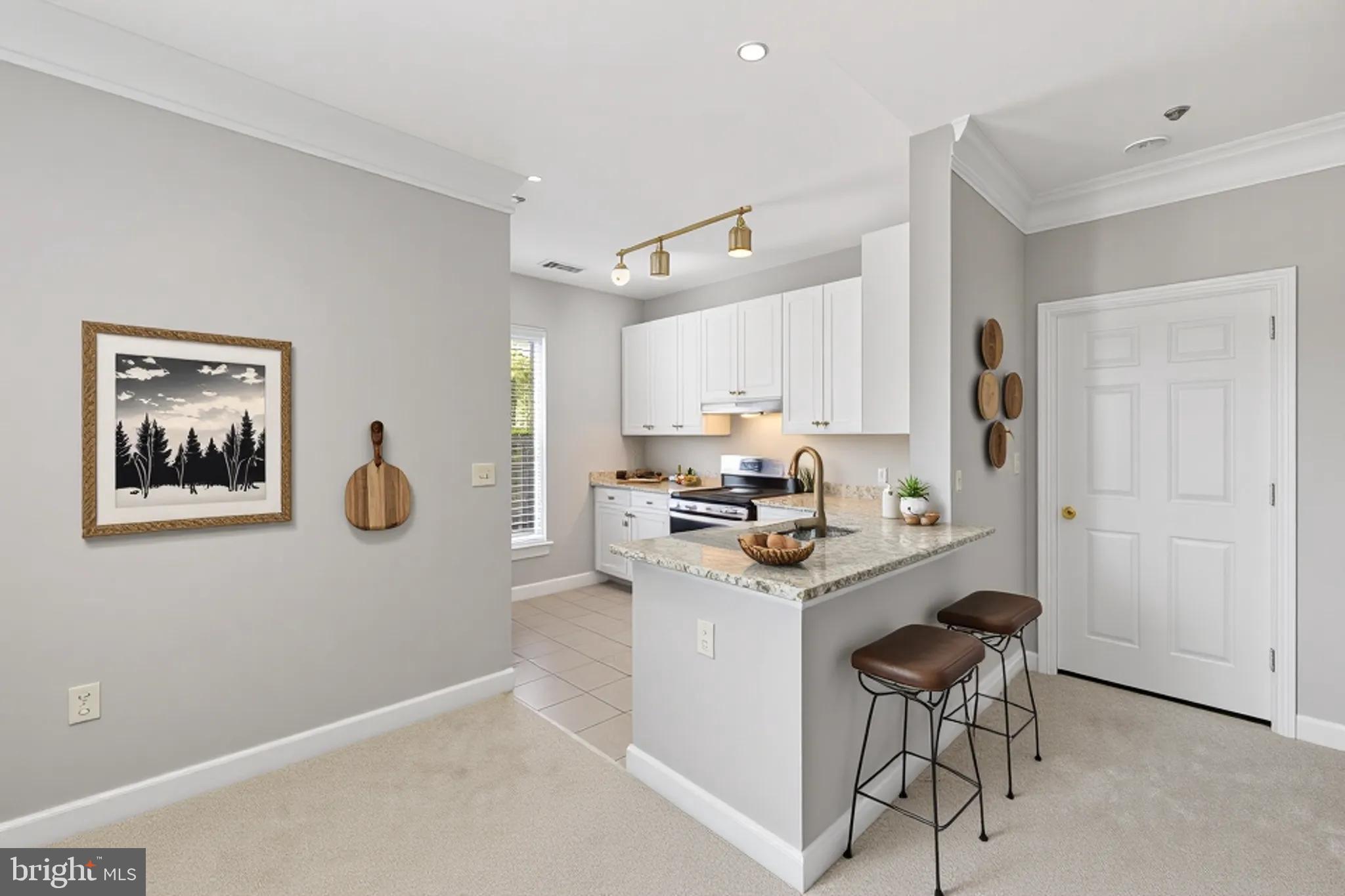 FITZ AT ROCKVILLE TOWN C - Residential