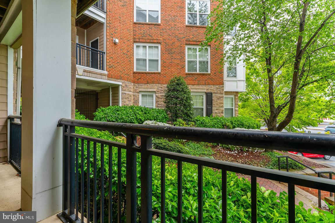 FITZ AT ROCKVILLE TOWN C - Residential
