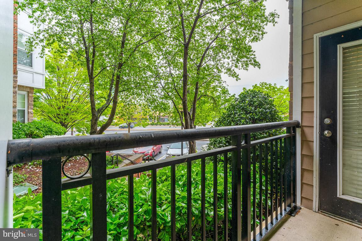 FITZ AT ROCKVILLE TOWN C - Residential
