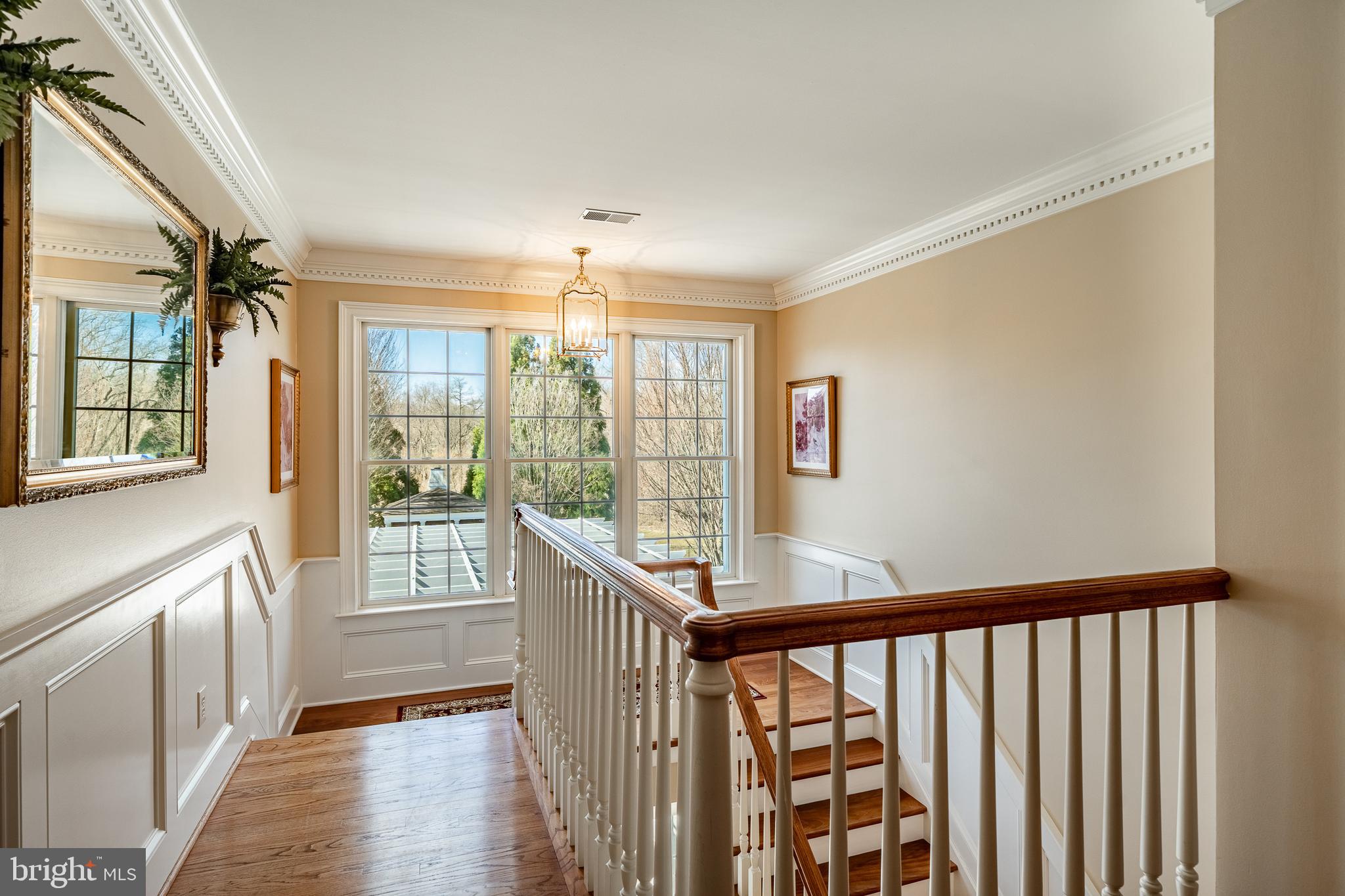 BAYARD MEADOWS - Residential