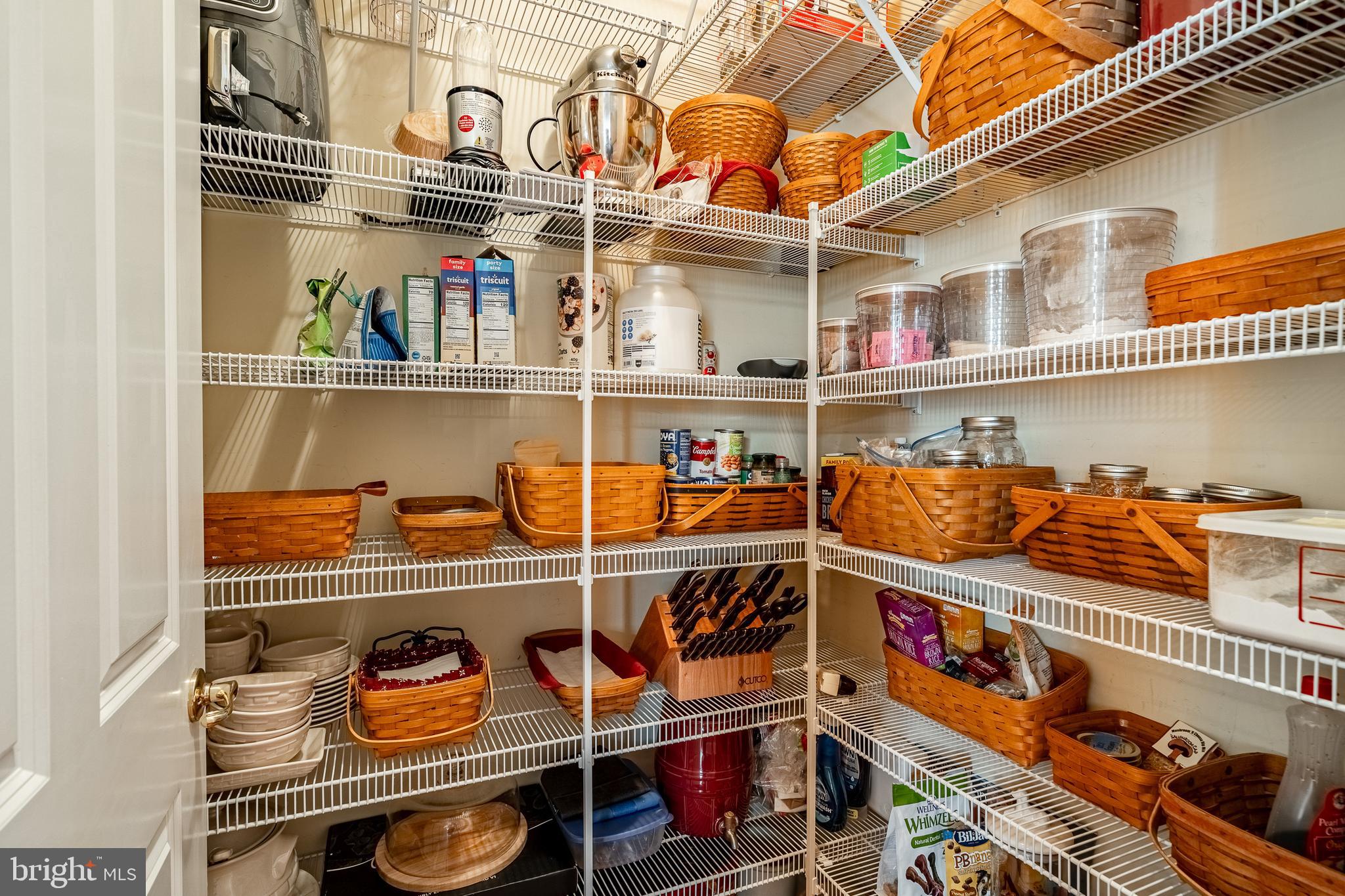 BAYARD MEADOWS - Residential