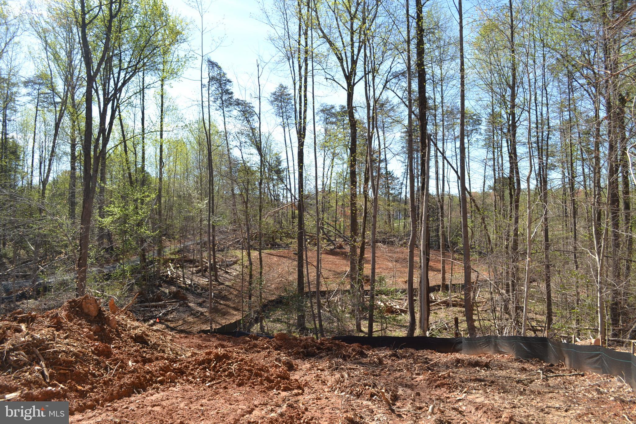 10631 PLANK ROAD