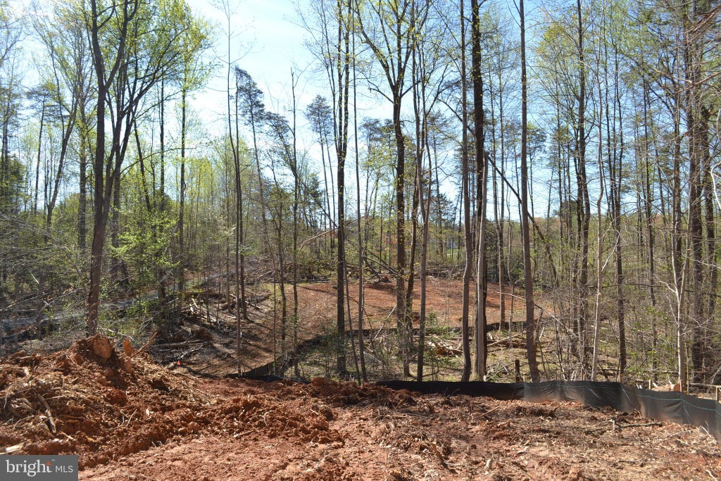 Photo of 10631 Plank Road, SPOTSYLVANIA, VA 22553 (MLS # VASP2043114)