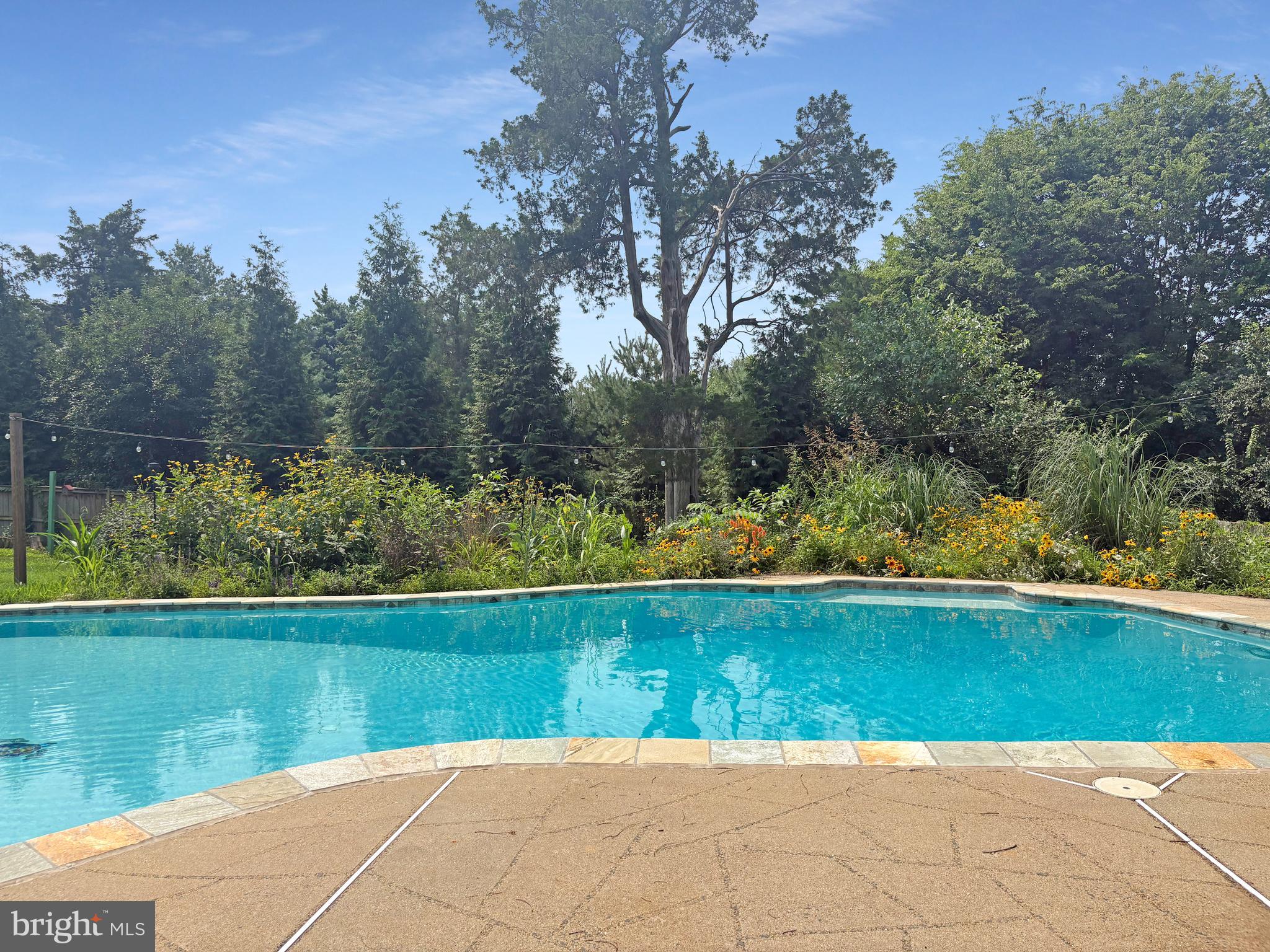 13513 COPPER RIDGE DRIVE