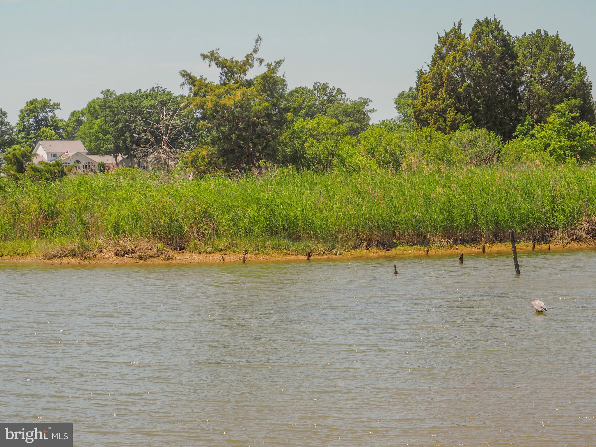 HILLS SUBDIVISION - Residential