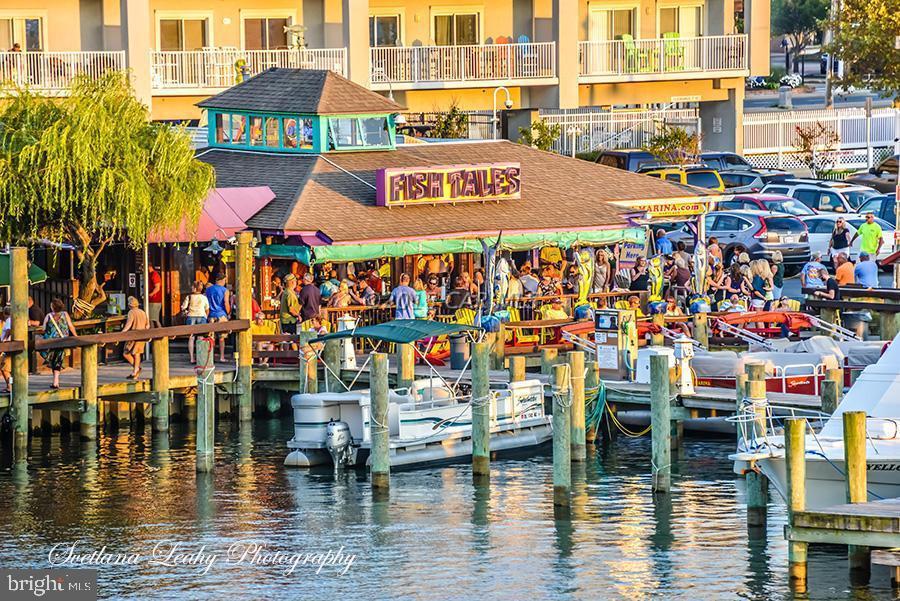 NONE AVAILABLE - Land