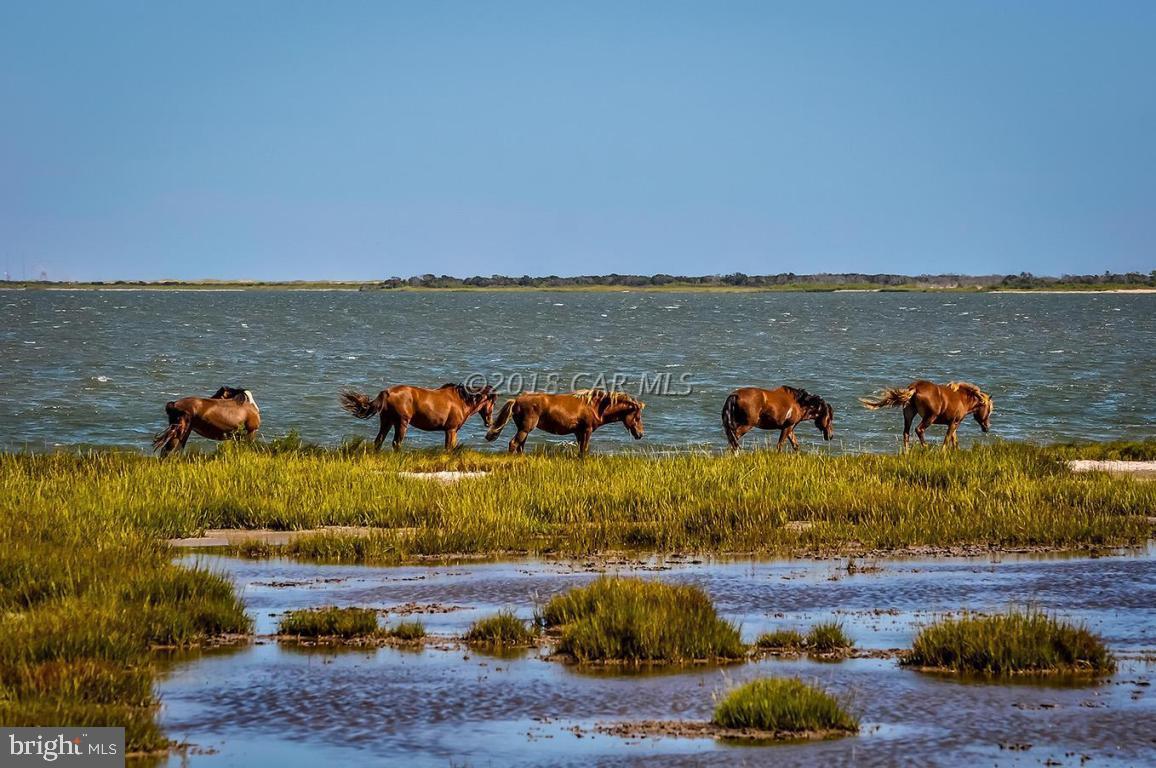 NONE AVAILABLE - Land