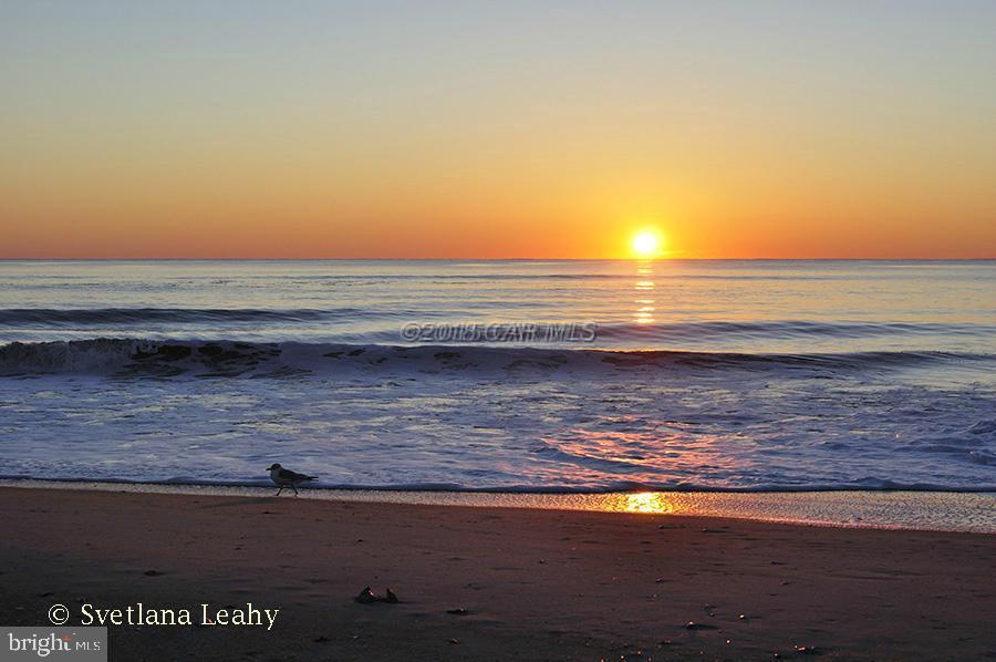 NONE AVAILABLE - Land