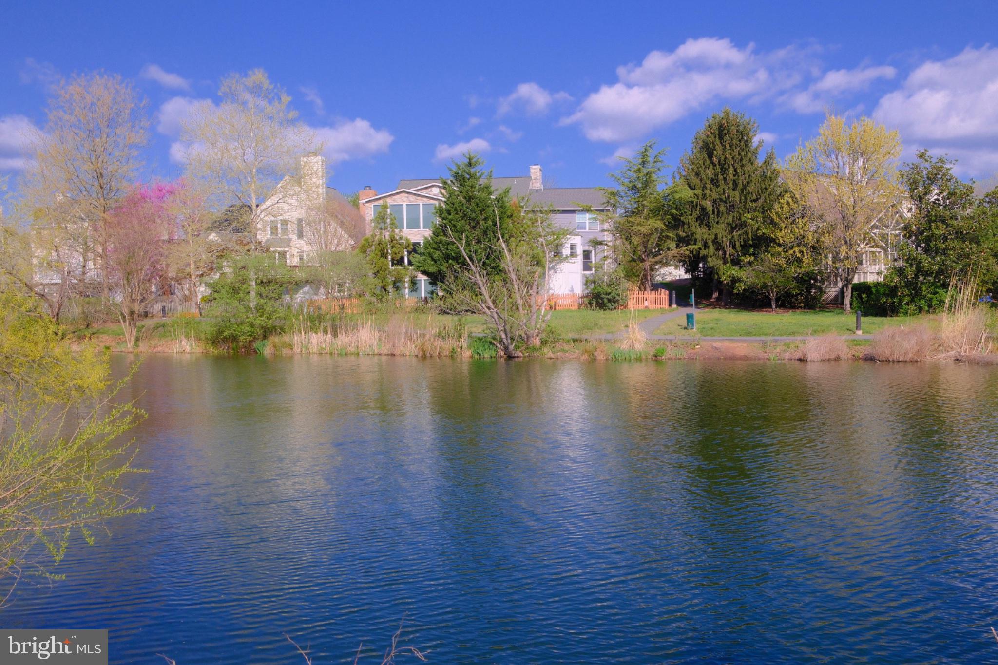 ASHBURN VILLAGE - Residential