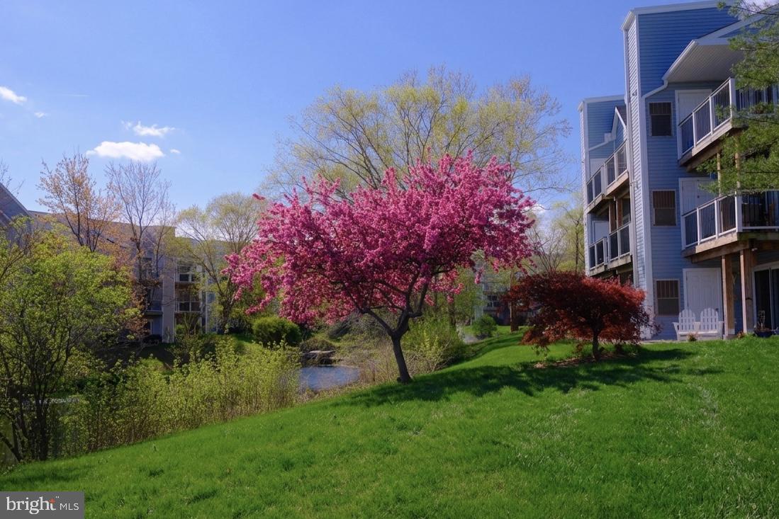 ASHBURN VILLAGE - Residential