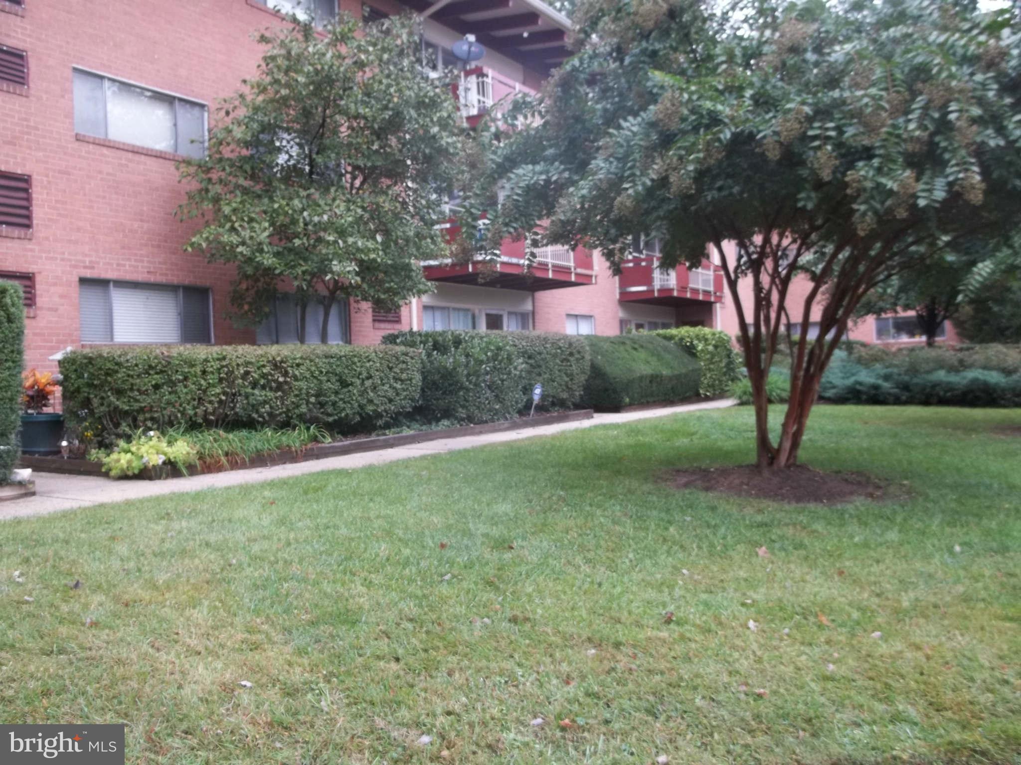 3419 UNIVERSITY BOULEVARD W 103