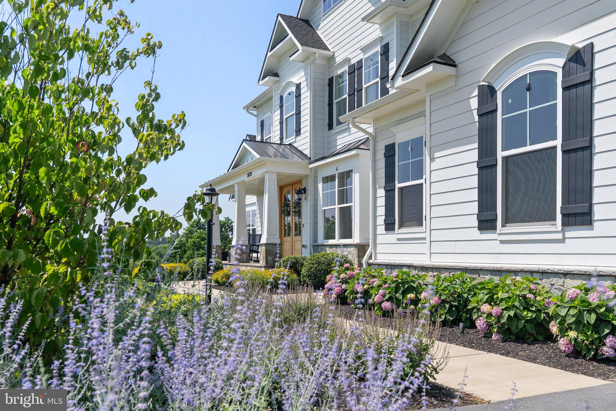 BLACK OAK RIDGE - Residential