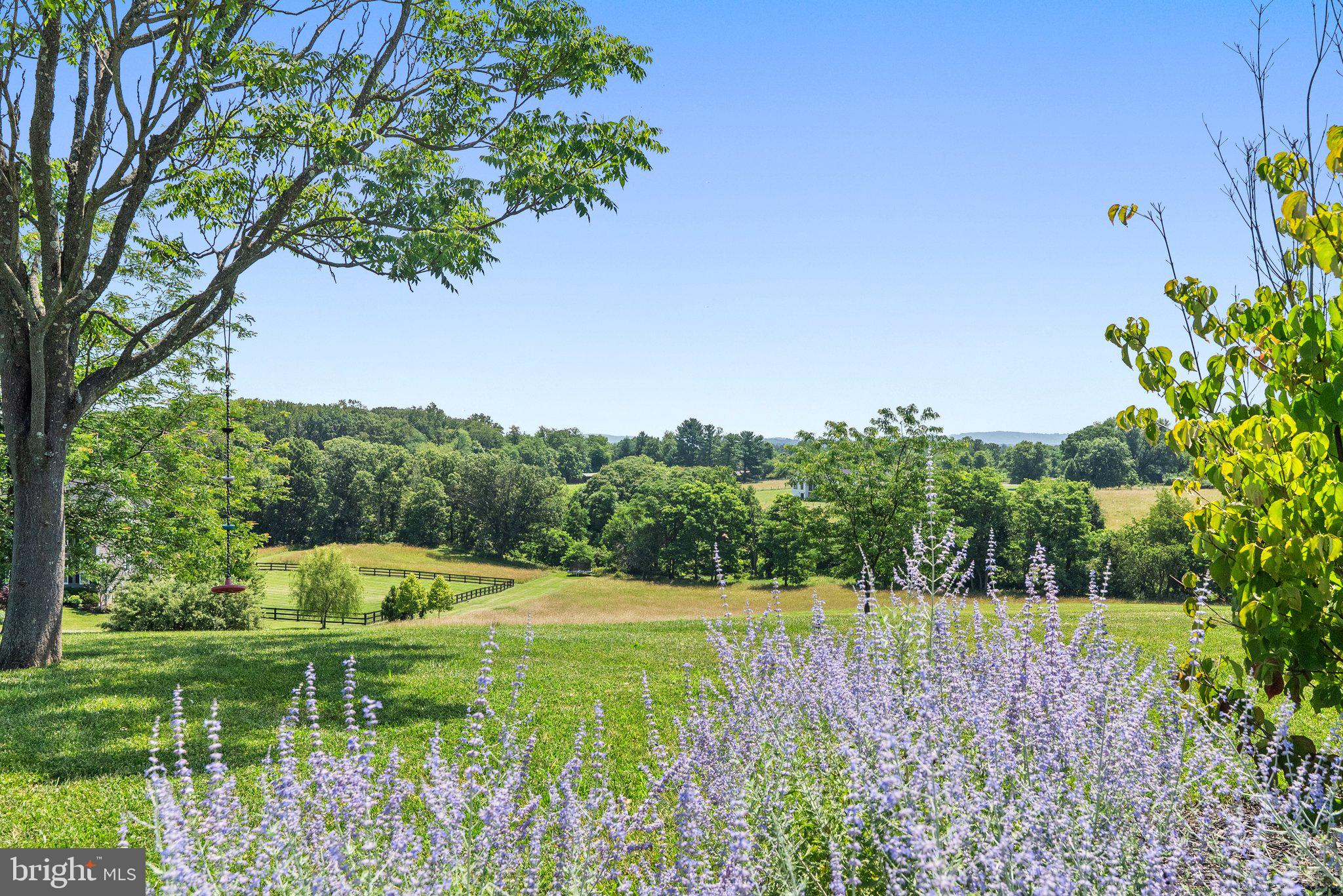 BLACK OAK RIDGE - Residential