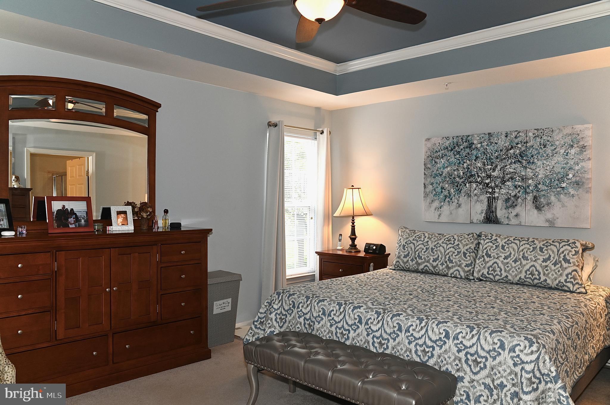 SUFFIELD MEADOWS - Residential