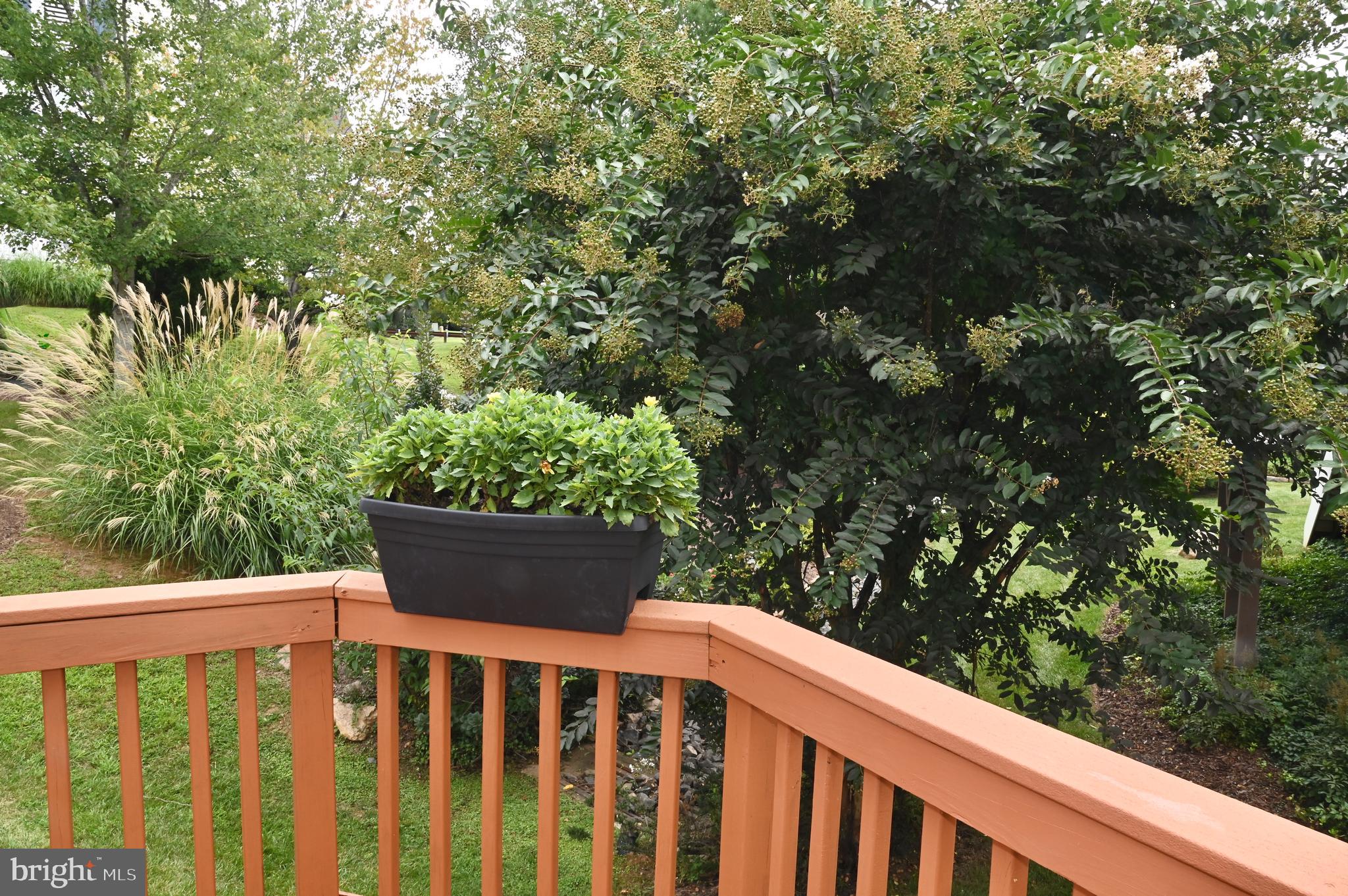 SUFFIELD MEADOWS - Residential