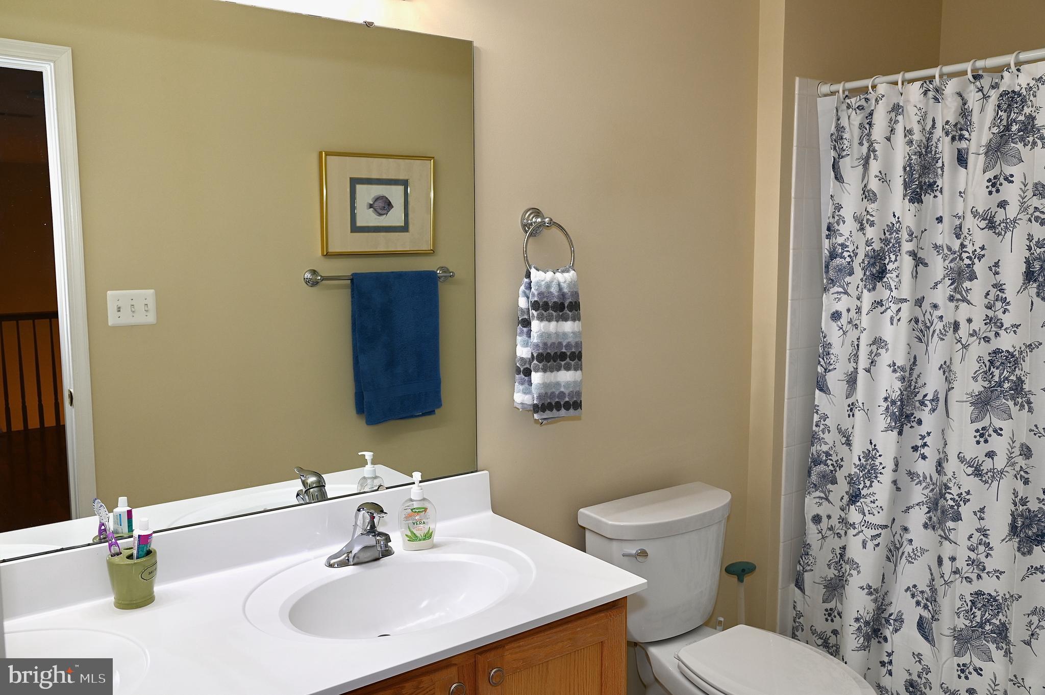 SUFFIELD MEADOWS - Residential