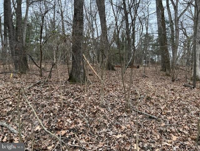 KEYES FERRY ACRES - Land