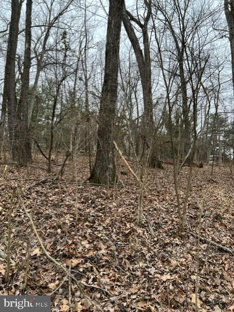 KEYES FERRY ACRES - Land