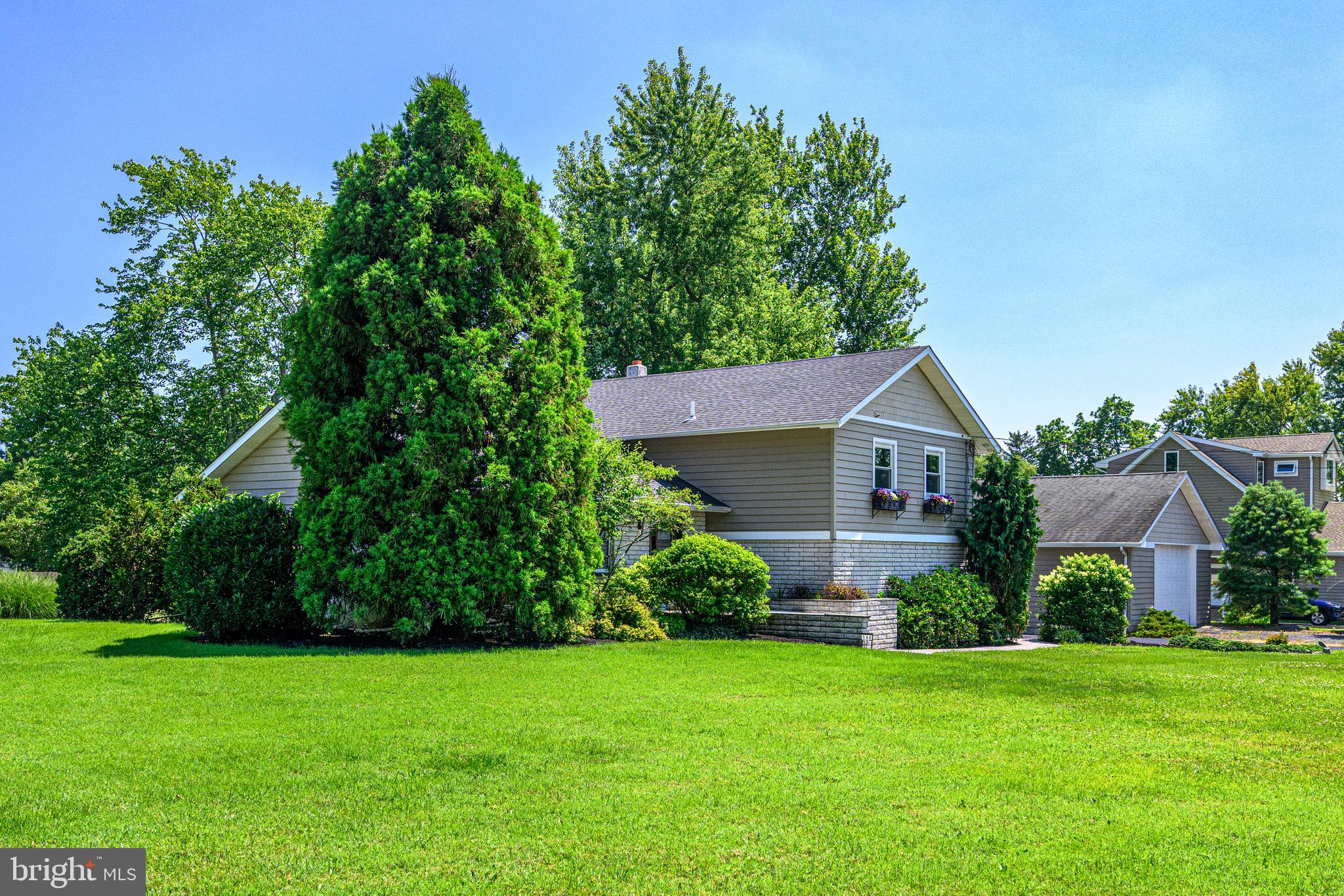 146 BELMONT AVENUE