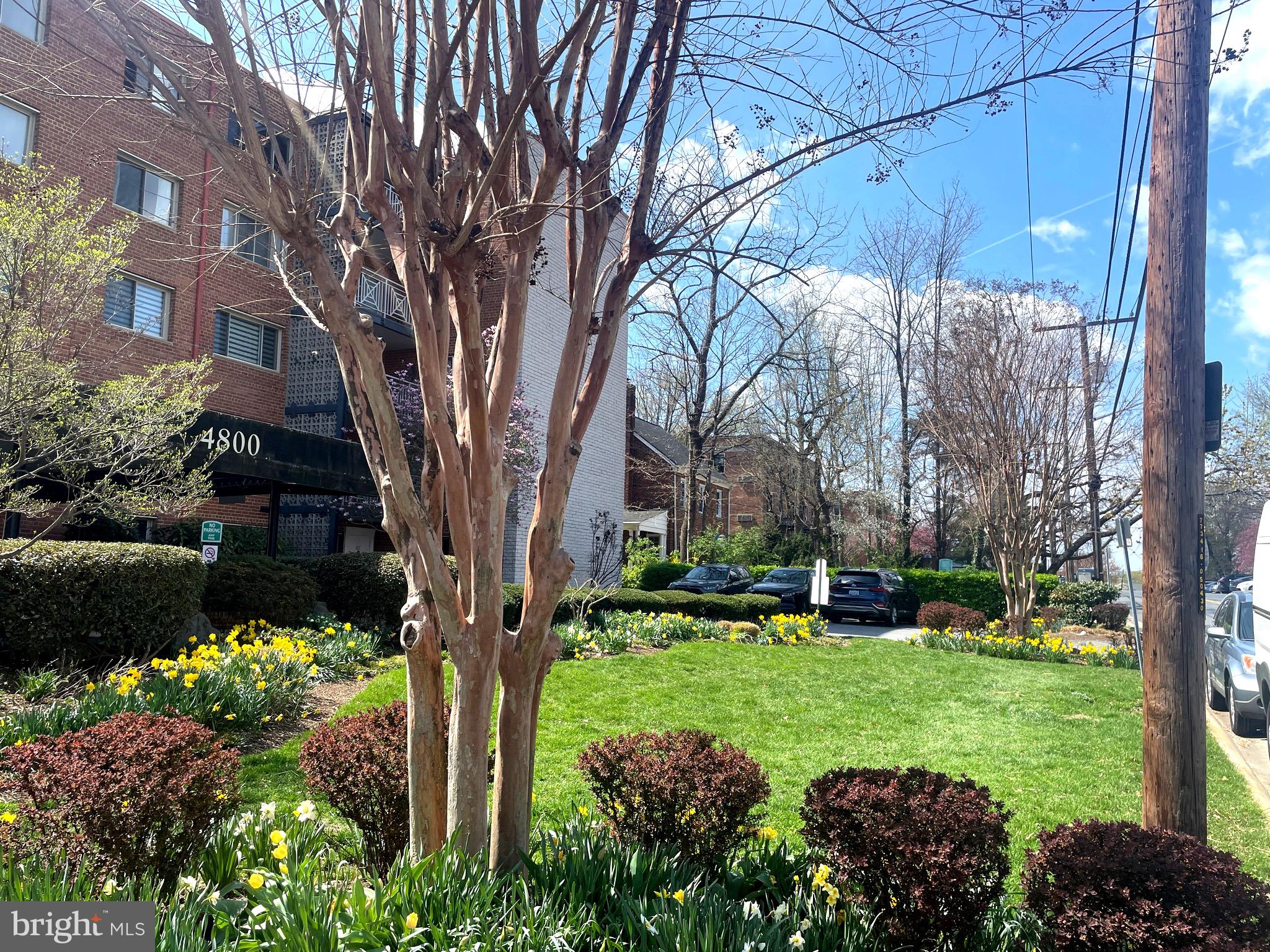 4800 CHEVY CHASE DRIVE 508