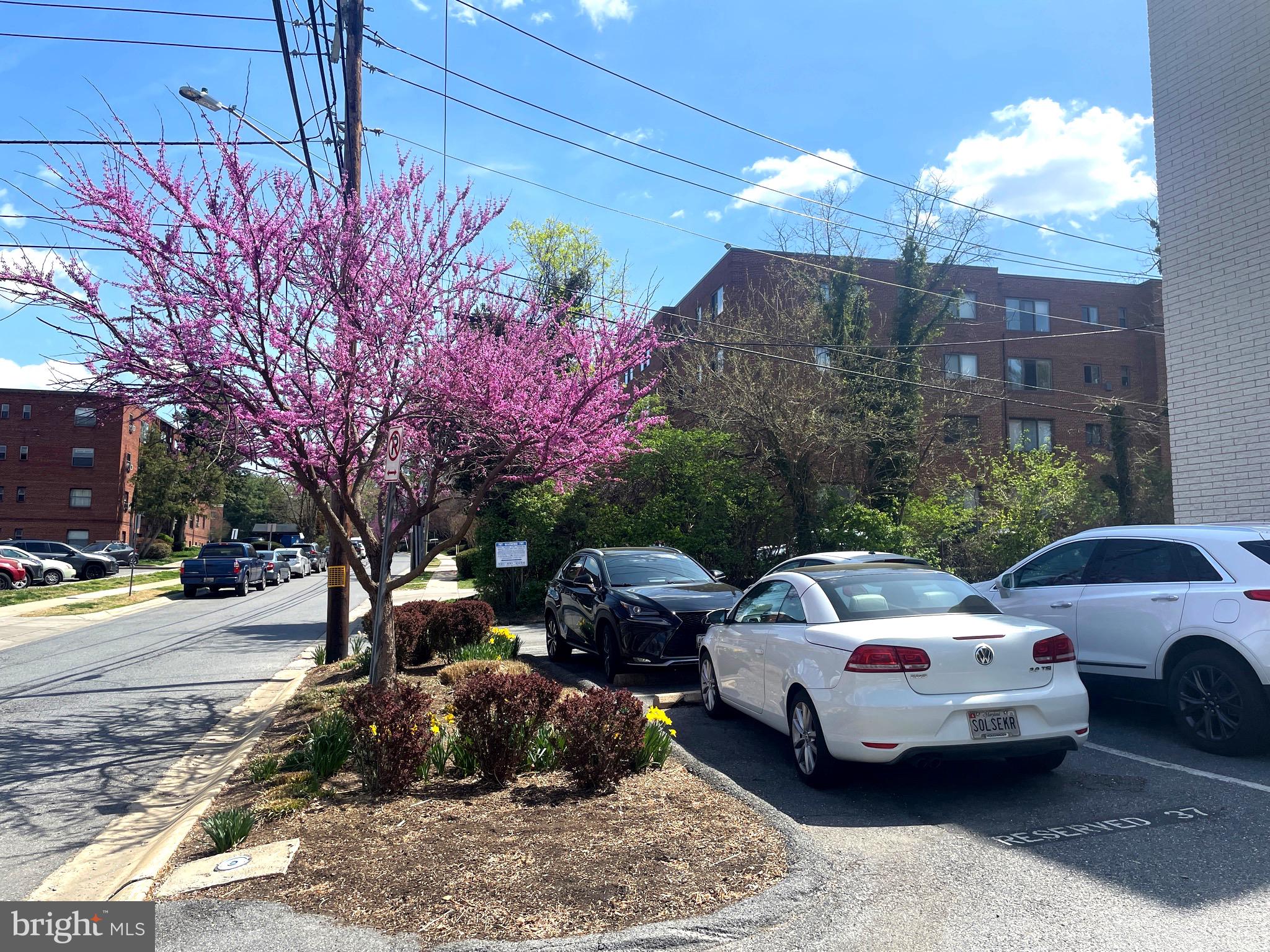 4800 CHEVY CHASE DRIVE 508