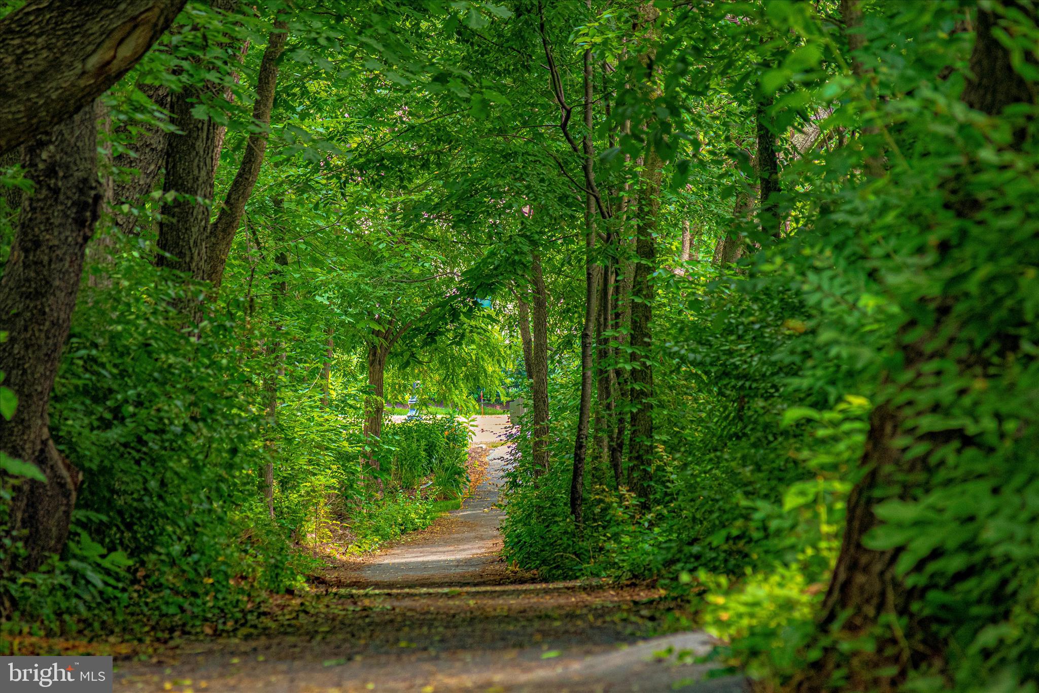 MILL ISLAND AT WORMAN'S MILL - Residential