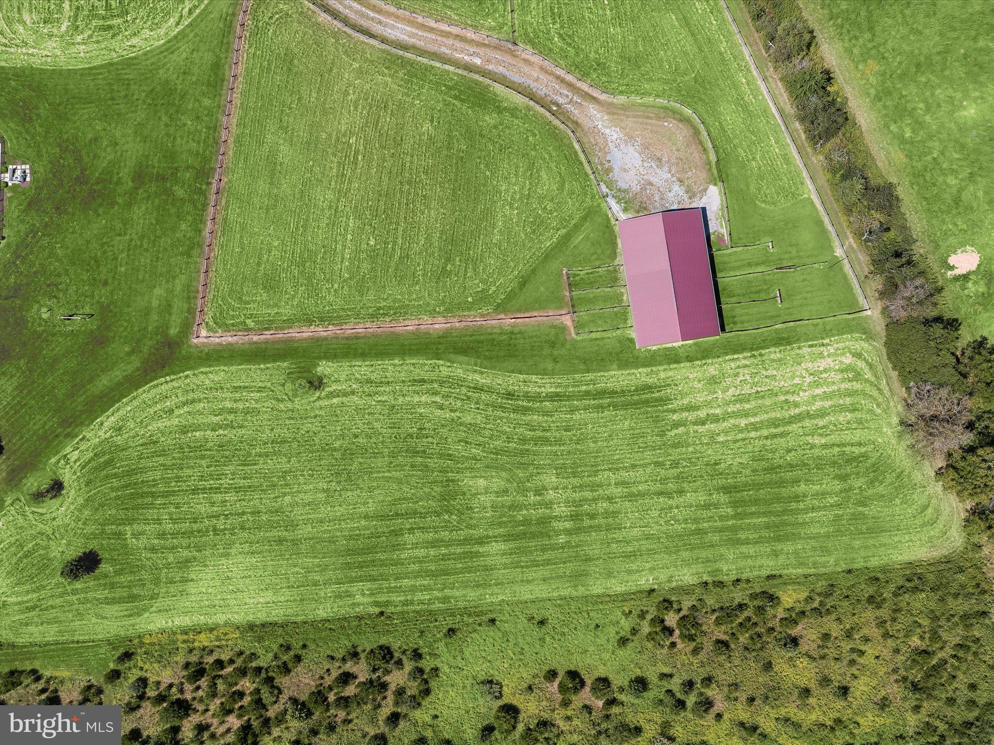 NONE AVAILABLE - Farm