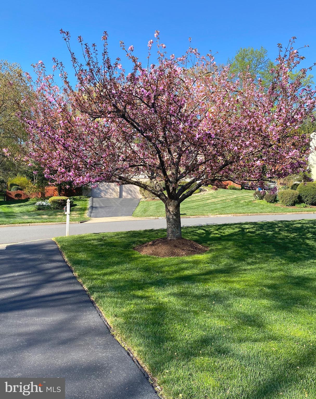 BRIDLE PATH MANOR - Residential