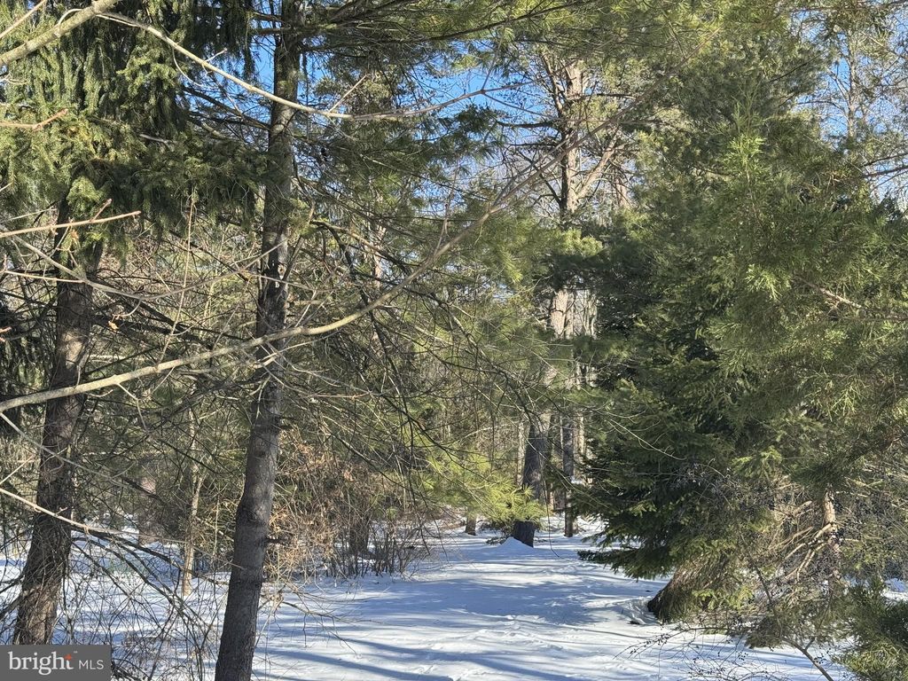 Photo of Lot 2 Pine Blvd, ORWIGSBURG, PA 17961 (MLS # PASK2025362)