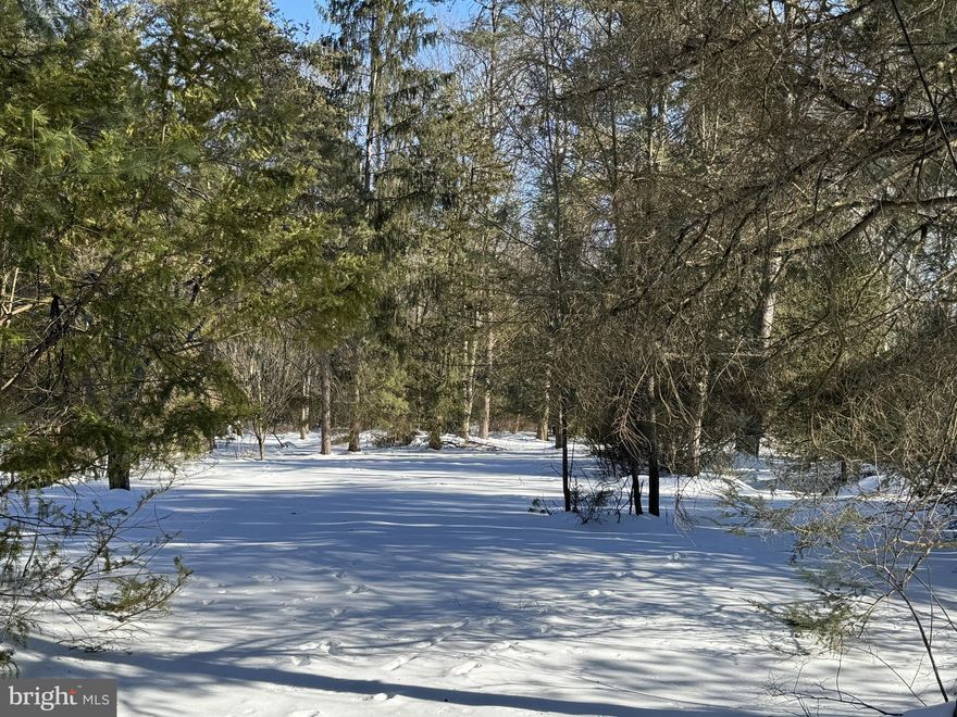 Whether you are looking to build your dream home or a weekend getaway, this .55 acre wooded lot in the borough of Deer Lake is the perfect location.  Situated in the Blue Mountain school district, it is close to shopping, recreation and just minutes from major routes to make your commute to work or play easy.