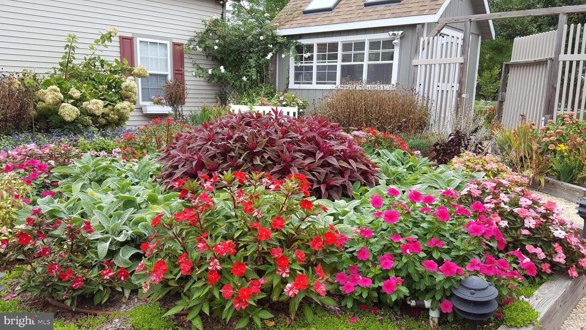 LITTLE NECK FARM - Residential