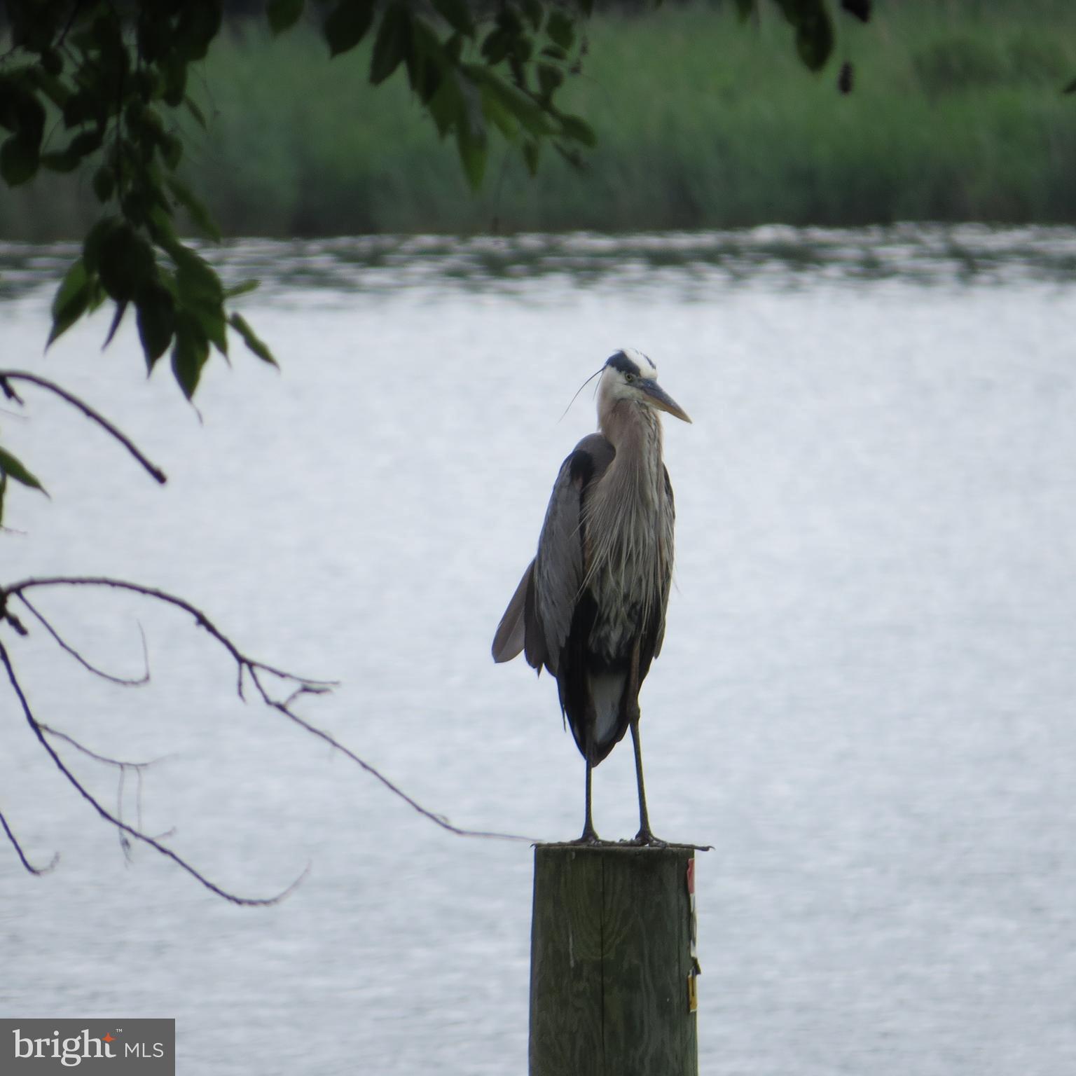 LITTLE NECK FARM - Residential