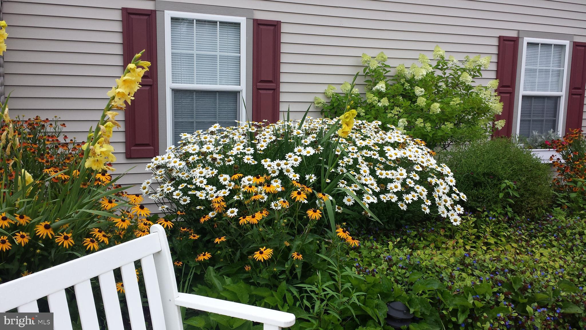 LITTLE NECK FARM - Residential