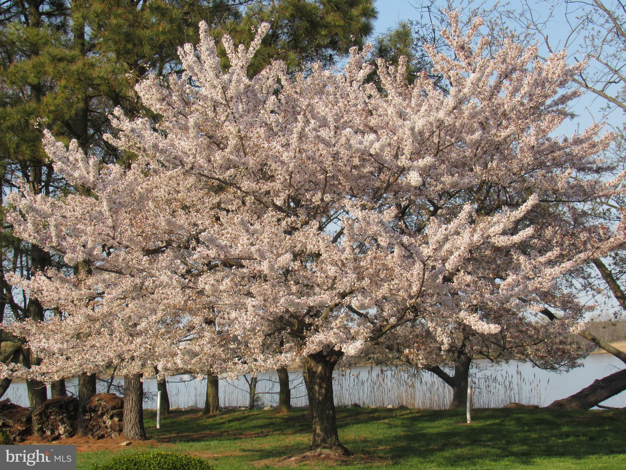 LITTLE NECK FARM - Residential