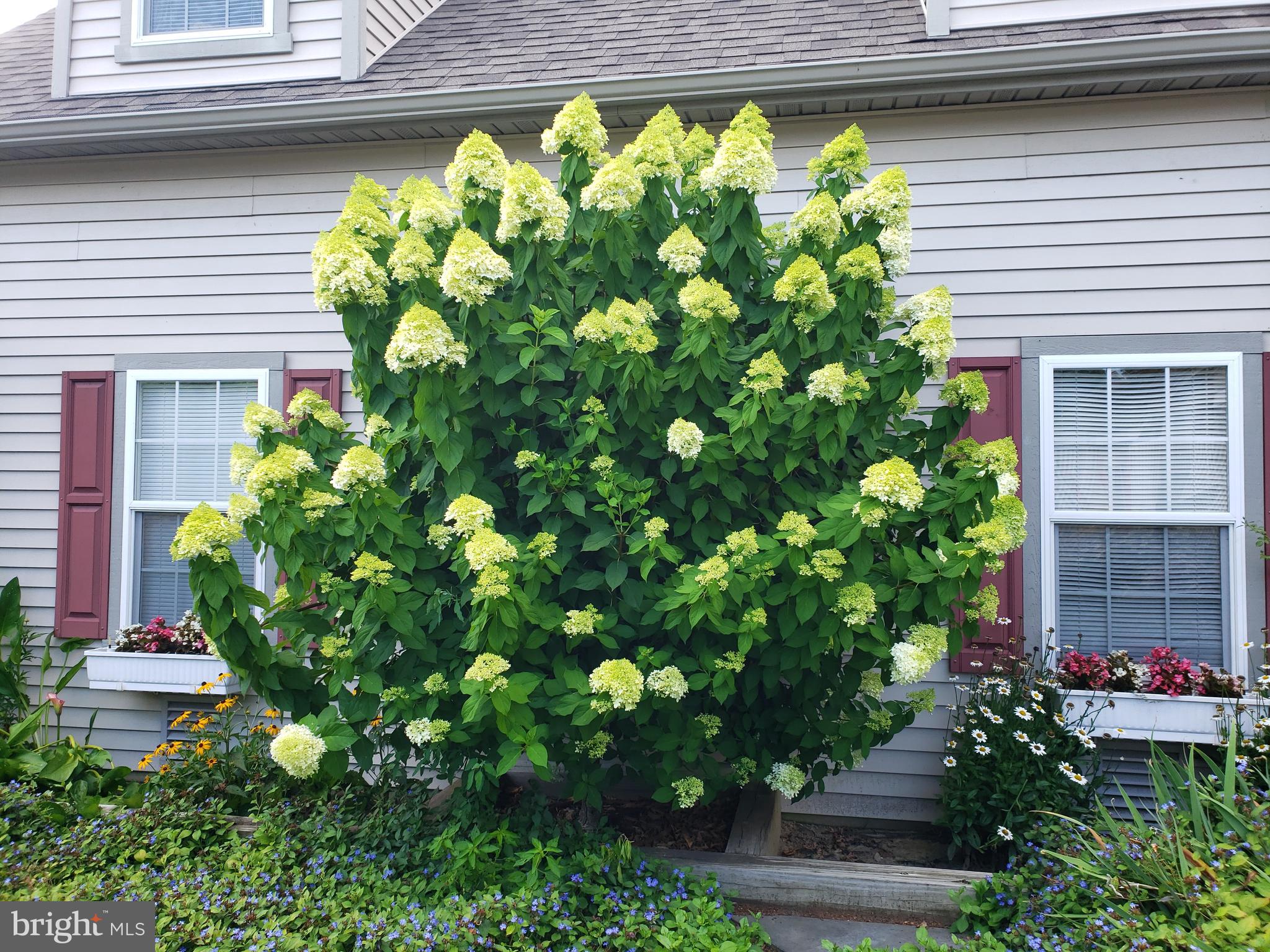 LITTLE NECK FARM - Residential