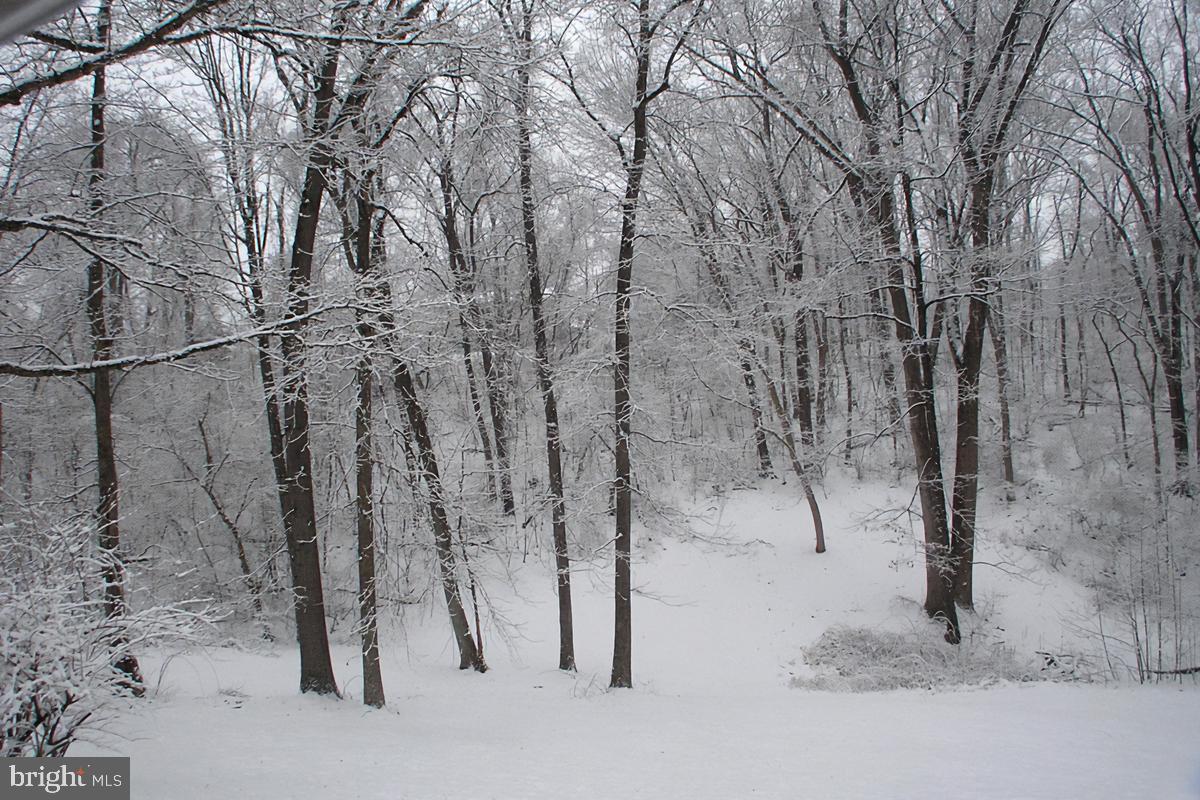 SHEN SHORES - Residential