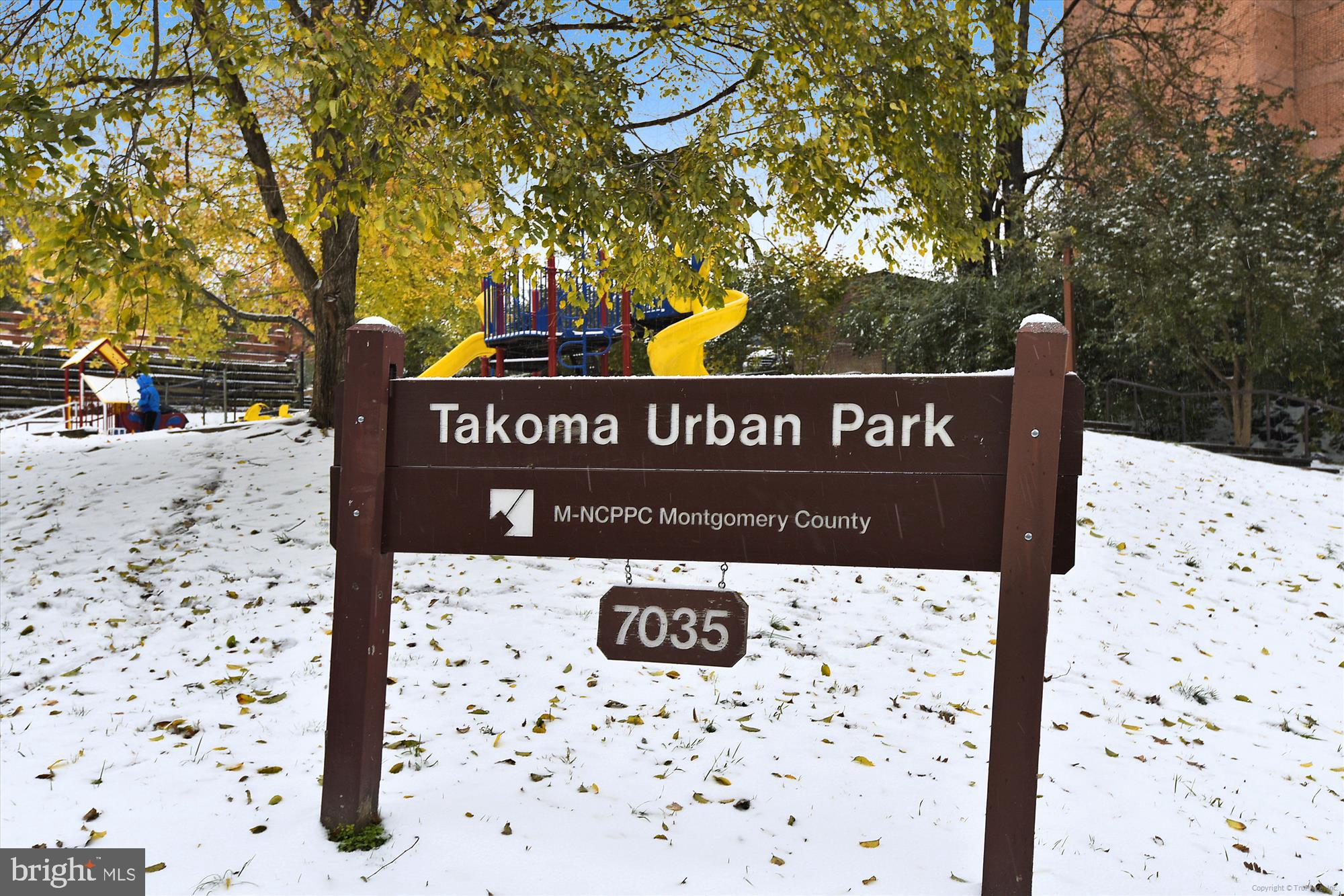 TAKOMA PARK - Residential