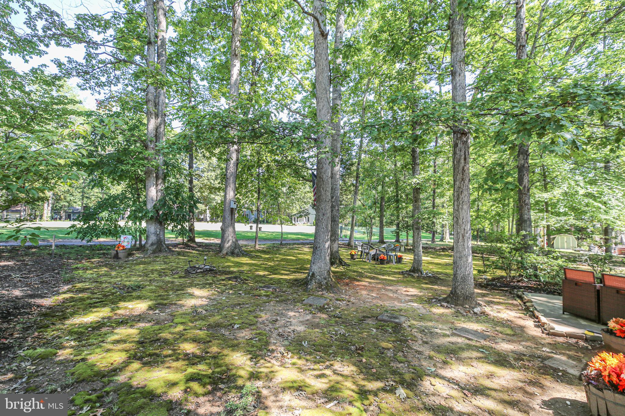 LAKE OF THE WOODS - Residential