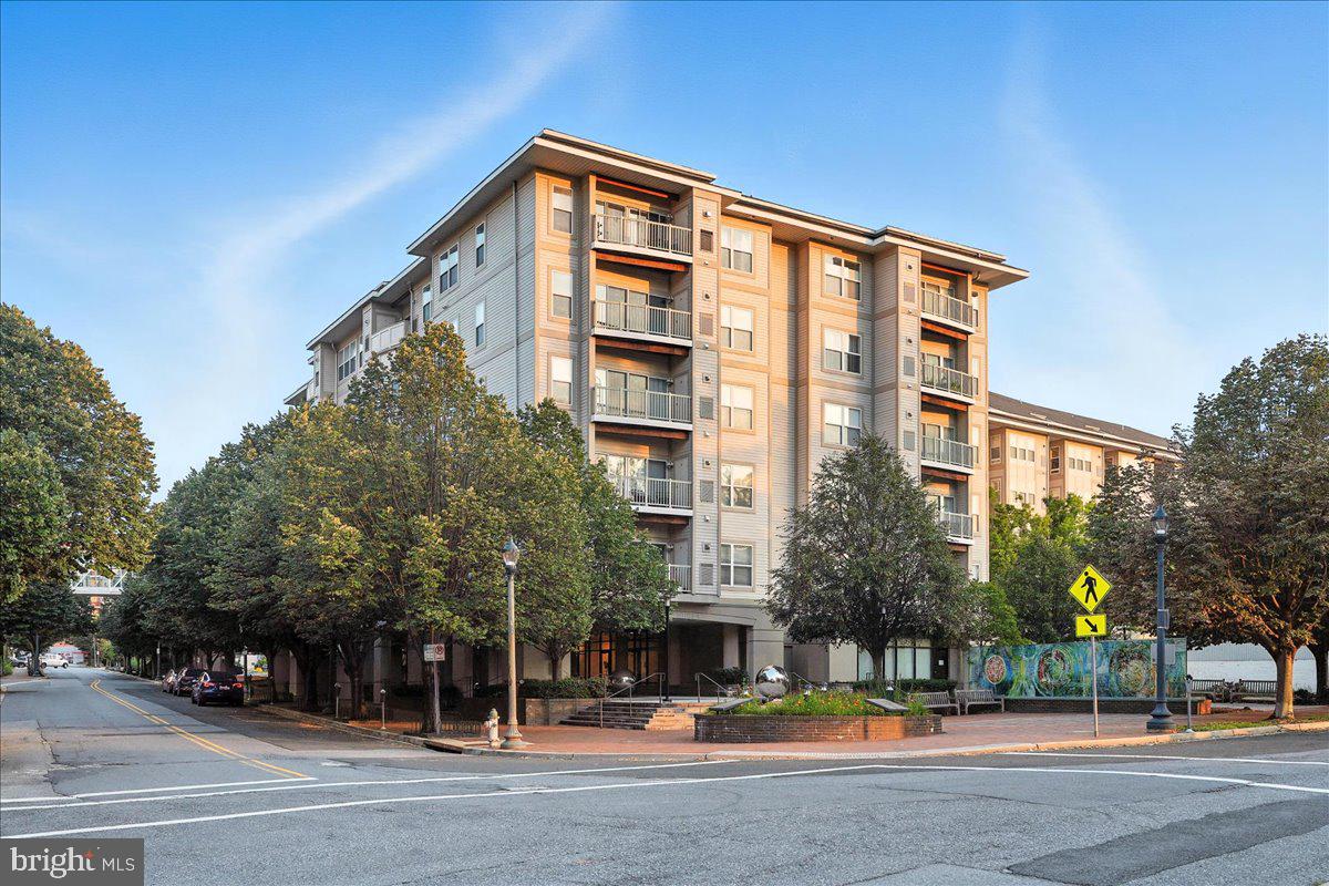 8045 NEWELL STREET 301