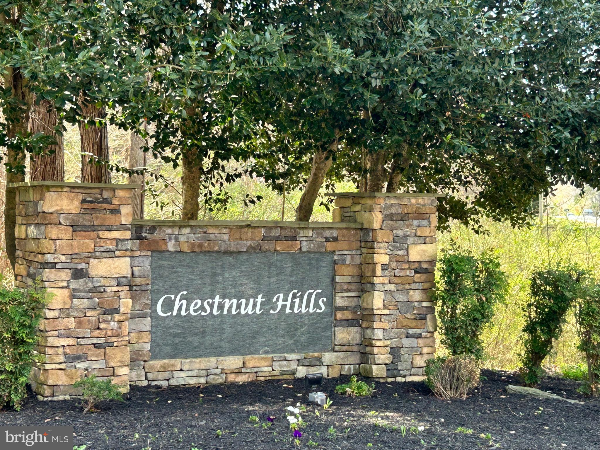 CHESTNUT HILLS - Residential