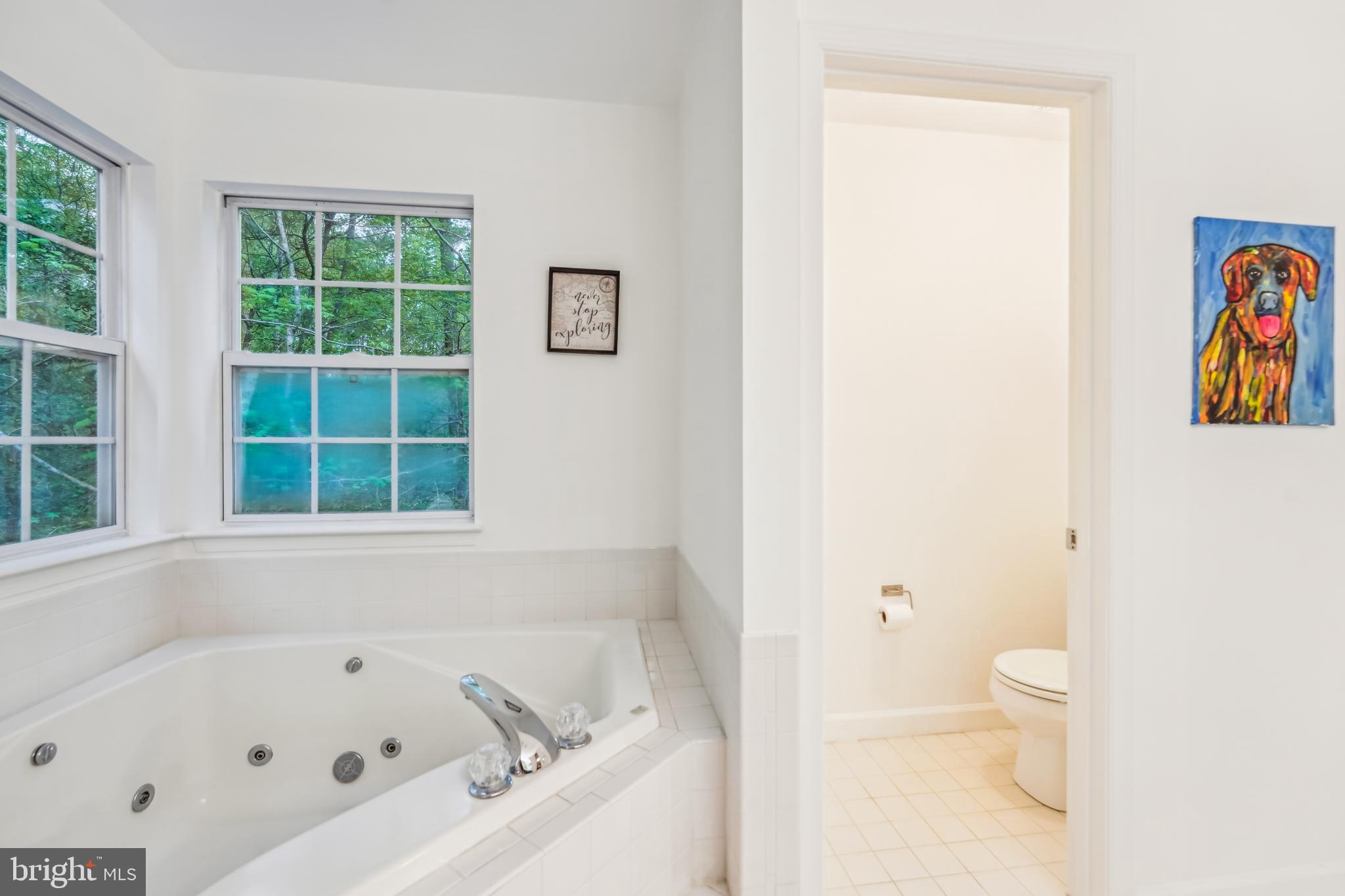 CHESTNUT HILLS - Residential